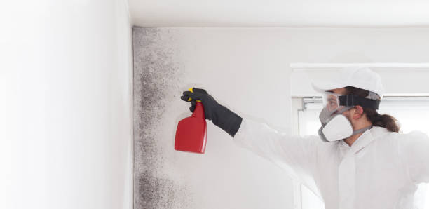 Best Emergency Mold Removal  in Richmond West, FL